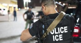Washington state man investigated for threatening ICE agents online, vowing to 'make life harder' for officers