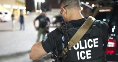 Washington state man investigated for threatening ICE agents online, vowing to 'make life harder' for officers
