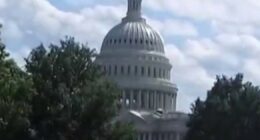 What happens next after government shutdown?