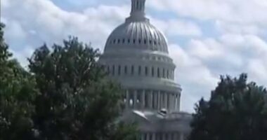 What happens next after government shutdown?
