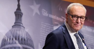 What happens now that a government shutdown is underway