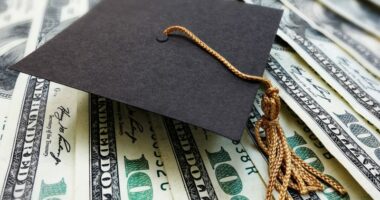 What happens to borrowers if the government sells student loan debt?