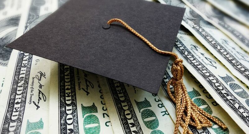 What happens to borrowers if the government sells student loan debt?