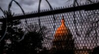 What the early polls say about the shutdown