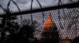 What the early polls say about the shutdown