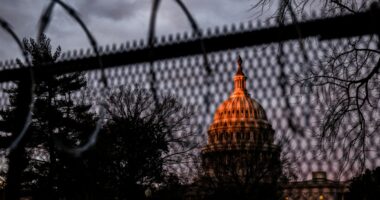 What the early polls say about the shutdown
