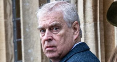 What will happen to the Duke of York title? Andrew has 'sullied' 600-year-old royal peerage that will likely 'disappear' due to scandal, writes CHRISTOPHER WILSON