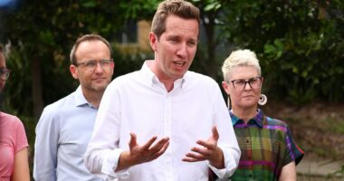Whatever happened to Anthony Albanese's nemisis Max Chandler-Mather