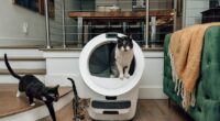 Whisker launches three new Litter-Robots, including one with cameras