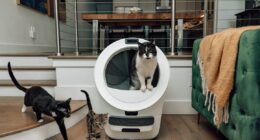 Whisker launches three new Litter-Robots, including one with cameras