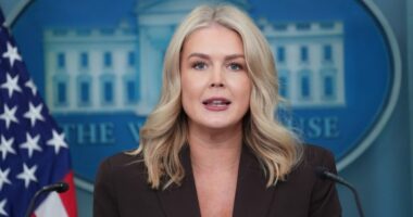 White House says it will use tariff money to fund nutrition program amid shutdown