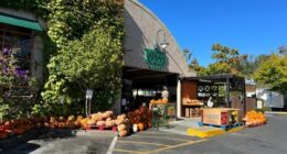Whole Foods closure sparks fears of falling home prices