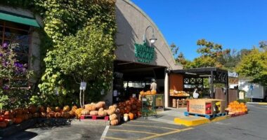Whole Foods closure sparks fears of falling home prices