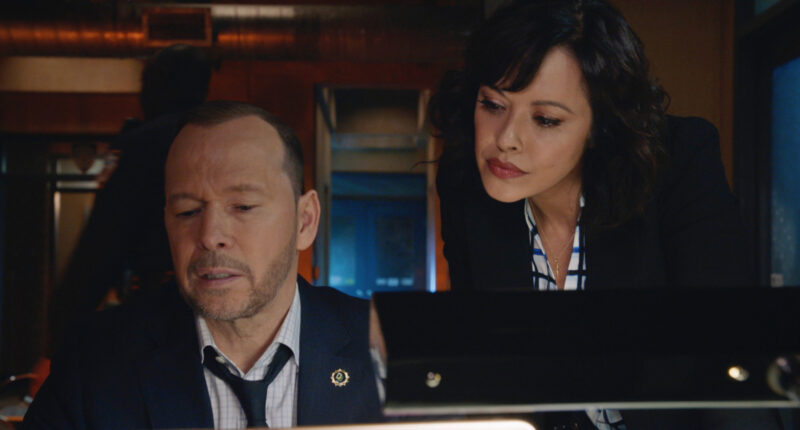 Why Boston Blue Picks Up Right Where Blue Bloods' Series Finale Left Off