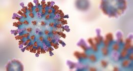 Why everything you thought you knew about your immune system is wrong
