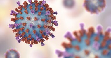 Why everything you thought you knew about your immune system is wrong