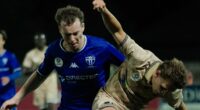 Will the launch of the Australian Championship help revive the embattled A-League? Or bury it?