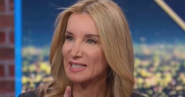 Woke CNN guest sparks fury by suggesting ALL white people in red states are racist