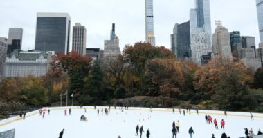 Wollman Rink isn’t made for profiteers
