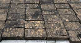 Woman, 30, charged after failed alleged $20 million cocaine importation