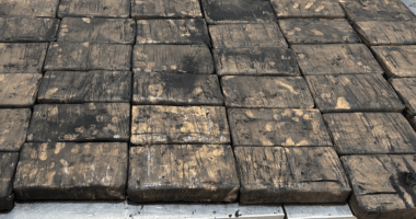 Woman, 30, charged after failed alleged $20 million cocaine importation