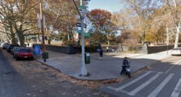 Woman, 75, killed steps from her Brooklyn home by hit-and-run driver who blew light