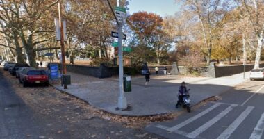 Woman, 75, killed steps from her Brooklyn home by hit-and-run driver who blew light