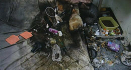 Woman With MS Found Dead in Filthy Conditions