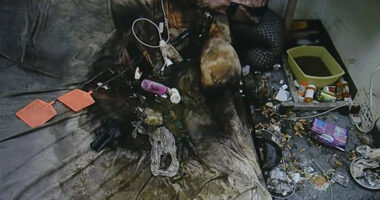 Woman With MS Found Dead in Filthy Conditions