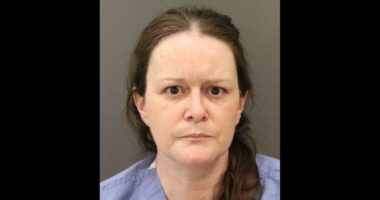 Woman admits guilt in ‘death wish’ murder of son