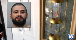 Woman celebrating 75th birthday shot, along with son: Cops