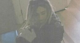 Woman charged over alleged theft of wigs for kids with cancer