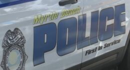 Woman charged with brandishing firearm from car during Myrtle Beach 'No Kings' protest