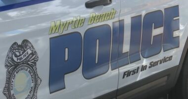 Woman charged with brandishing firearm from car during Myrtle Beach 'No Kings' protest