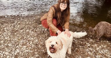 Woman claims she has to work from home as her dog has 'severe anxiety'