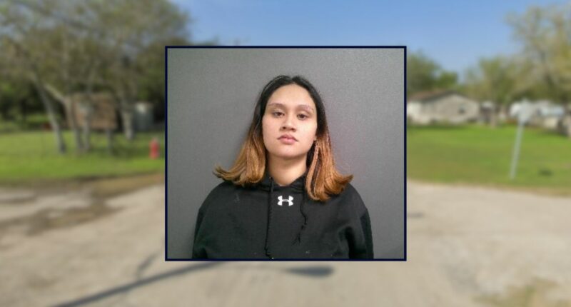 Woman killed infant after being mad at her baby's father