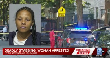 Woman stabbed cousin over a job at Taco Bell: Police