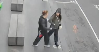 Woman stabbed in shocking attack praises bystanders who rushed to her aid