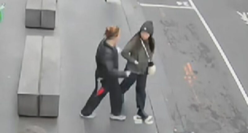 Woman stabbed in shocking attack praises bystanders who rushed to her aid