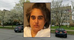 Woman stabbed, nearly killed dad over 'clogged toilet