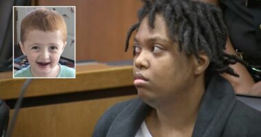 Woman stabbed toddler to death as he sat in shopping cart