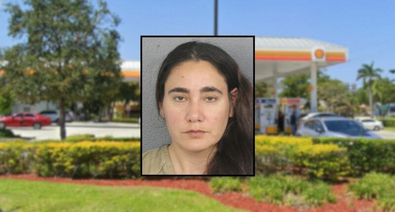 Woman tried to kidnap boy, 5, from grandma's SUV: Deputies