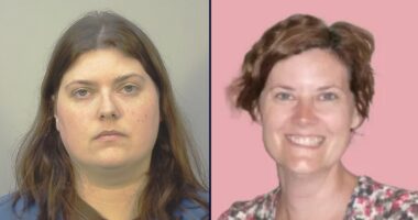 Woman who repeatedly stabbed mother home enters plea