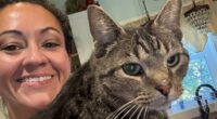 Woman whose cat traveled 100 MILES on roof of car speaks out