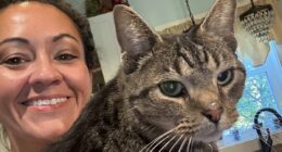 Woman whose cat traveled 100 MILES on roof of car speaks out