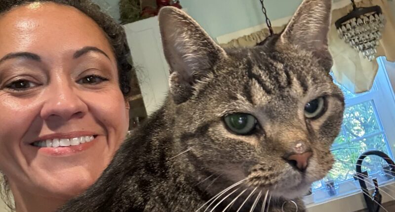 Woman whose cat traveled 100 MILES on roof of car speaks out