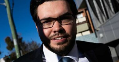Former Liberal staffer Bruce Lehrmann has called for a forensic expert to examine the phone of a woman he's accused of raping due to claimed discrepancies in prosecution evidence.