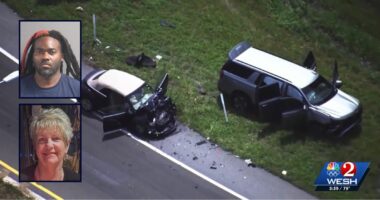 Wrong-way driver fleeing cops kills woman, 71: Police