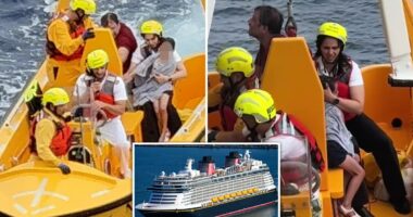 Young girl who fell from Disney Dream cruise was too 'small' to set off man overboard alert: report