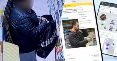 You're nicked! Retailers use 'Most Wanted' app to snare shoplif